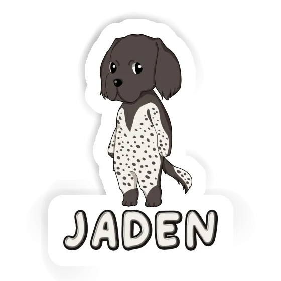 Sticker Small Munsterlander Jaden Image