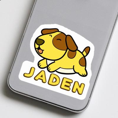 Jaden Autocollant Chien Gift package Image