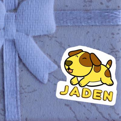 Jaden Sticker Dog Image