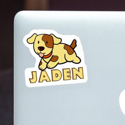 Jaden Aufkleber Hund Laptop Image