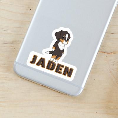 Sticker Berner Sennenhund Jaden Gift package Image