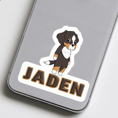 Sticker Bernese Mountain Dog Jaden Notebook Image