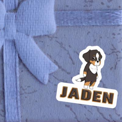 Sticker Berner Sennenhund Jaden Notebook Image