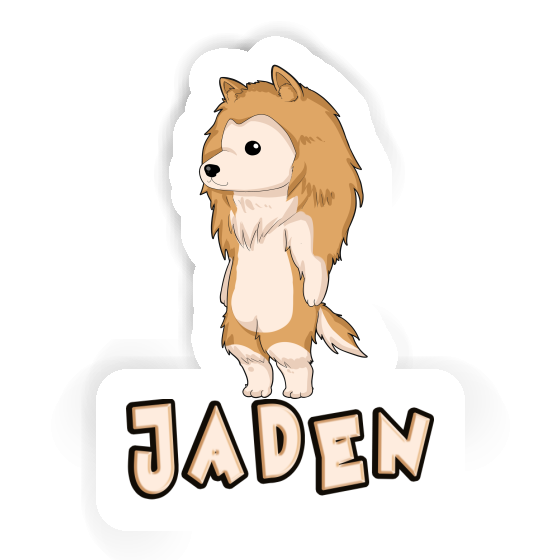 Collie Sticker Jaden Image