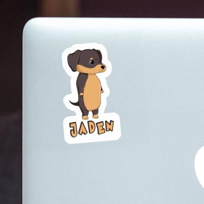 Jaden Sticker Dachshund Notebook Image