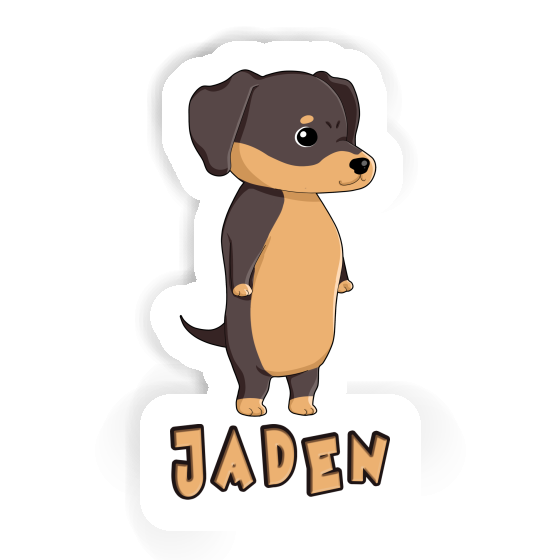 Dackel Sticker Jaden Laptop Image