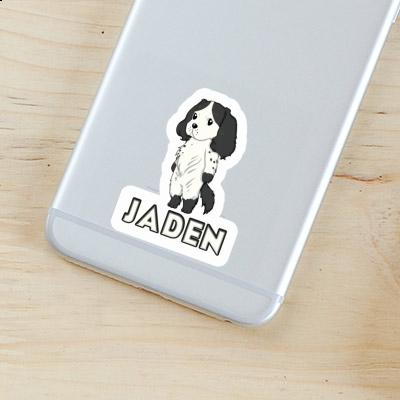 Sticker Spaniel Jaden Gift package Image