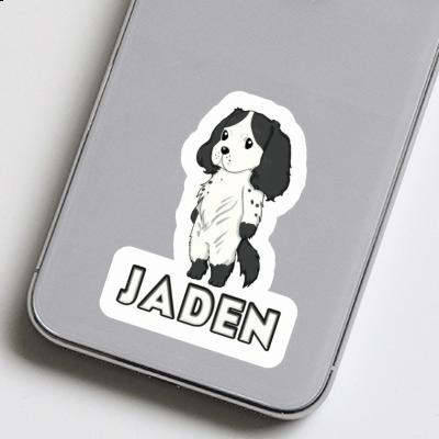 Autocollant Cocker Jaden Gift package Image