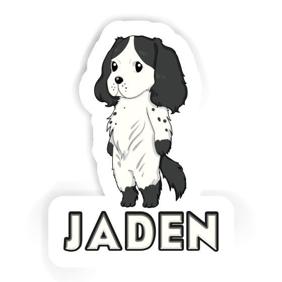 Sticker Spaniel Jaden Gift package Image