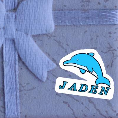 Jaden Sticker Dolphin Gift package Image