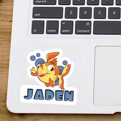 Sticker Fish Jaden Gift package Image