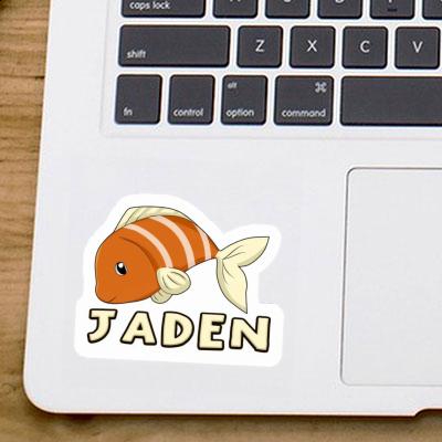 Jaden Autocollant Poisson Gift package Image