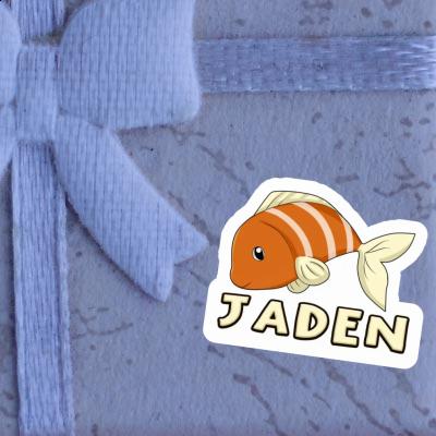 Fish Sticker Jaden Laptop Image