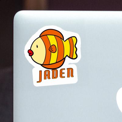 Fisch Sticker Jaden Gift package Image