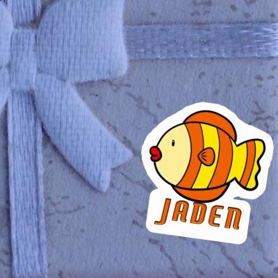 Fisch Sticker Jaden Gift package Image