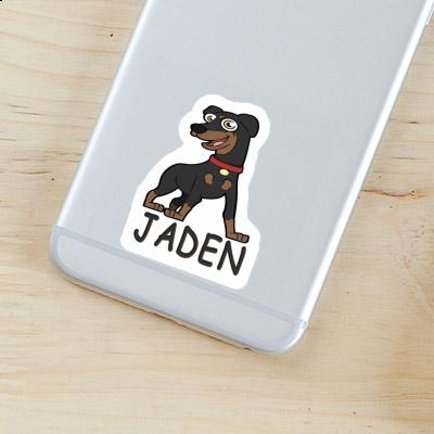 Pinscher Autocollant Jaden Gift package Image