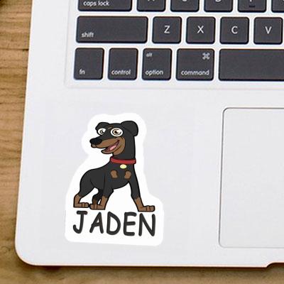 Sticker Pinscher Jaden Gift package Image