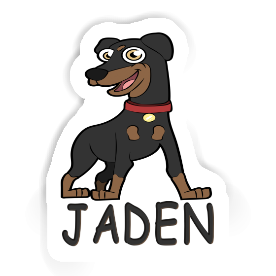 Pinscher Autocollant Jaden Gift package Image