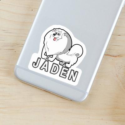 Spitz allemand Autocollant Jaden Laptop Image