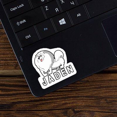 Jaden Sticker German Spitz Laptop Image