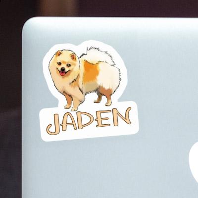 Sticker German Spitz Jaden Gift package Image