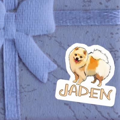 Sticker German Spitz Jaden Notebook Image