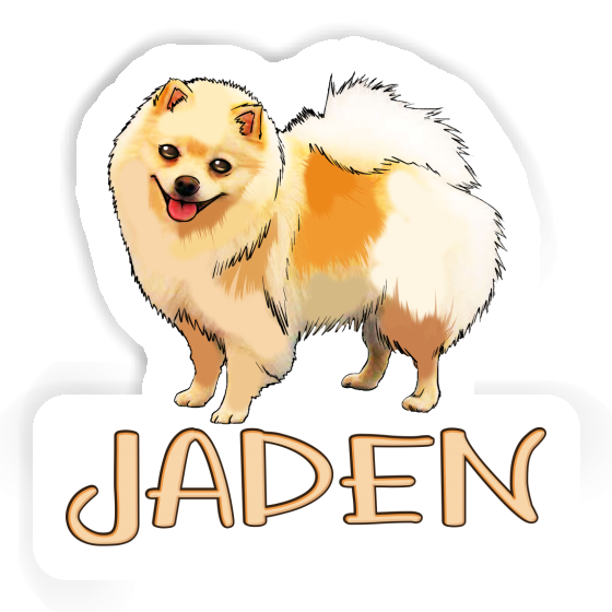 Sticker German Spitz Jaden Gift package Image