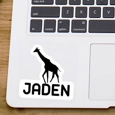 Sticker Jaden Giraffe Gift package Image