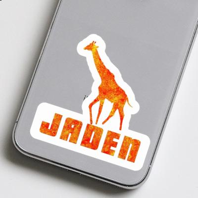 Sticker Giraffe Jaden Laptop Image