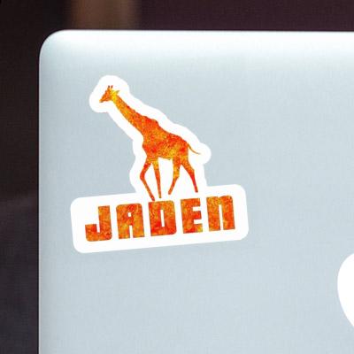 Giraffe Sticker Jaden Gift package Image