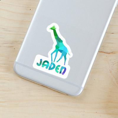 Autocollant Jaden Girafe Gift package Image