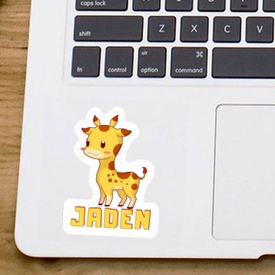 Jaden Autocollant Girafe Notebook Image