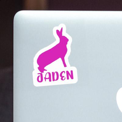 Autocollant Jaden Lapin Laptop Image