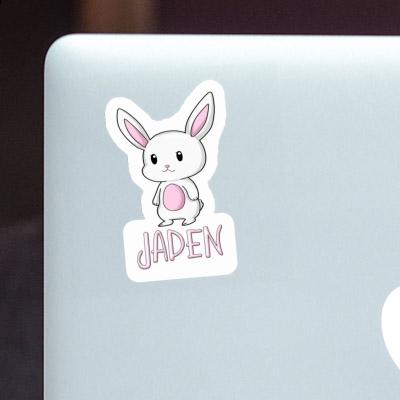 Hase Sticker Jaden Gift package Image