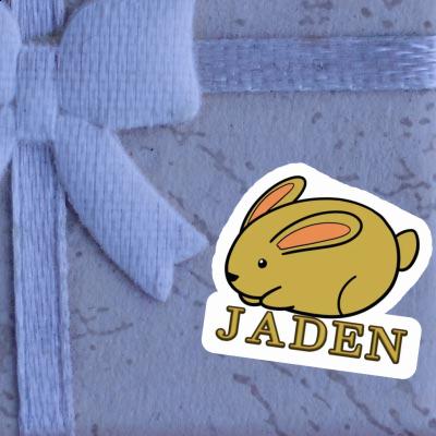 Lapin Autocollant Jaden Laptop Image