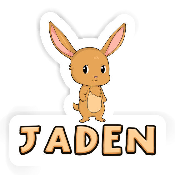 Autocollant Lapin Jaden Gift package Image