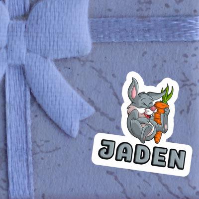 Autocollant Jaden Lapin Image