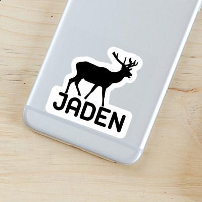 Autocollant Jaden Cerf Gift package Image