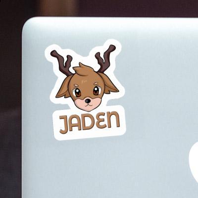 Sticker Jaden Deer Gift package Image