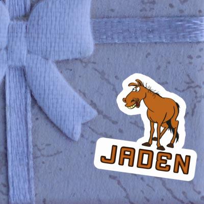 Jaden Sticker Horse Image