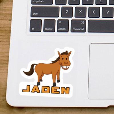 Jaden Autocollant Cheval Gift package Image