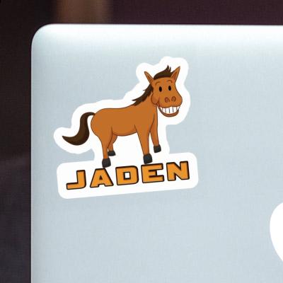 Sticker Jaden Grinning Horse Image