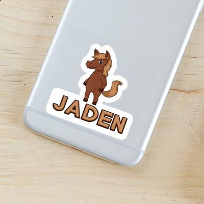 Sticker Jaden Pferd Image