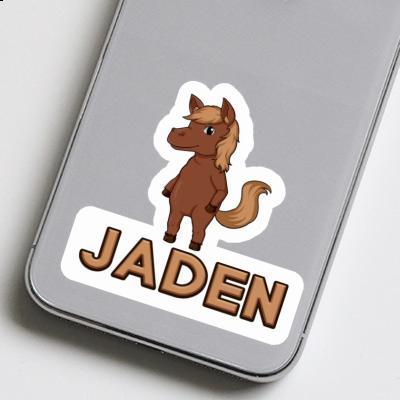 Autocollant Cheval Jaden Gift package Image