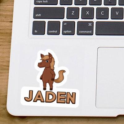 Sticker Jaden Pferd Gift package Image