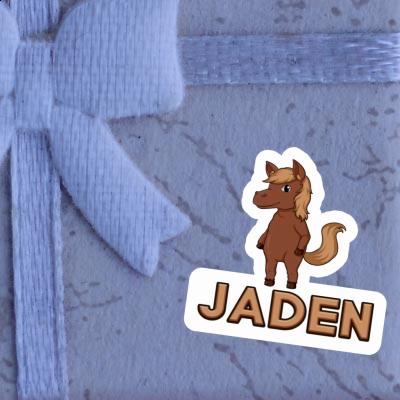 Autocollant Cheval Jaden Gift package Image