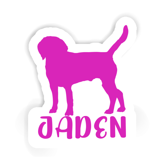 Chien Autocollant Jaden Gift package Image