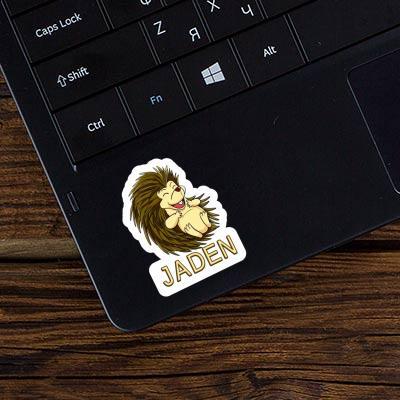 Jaden Sticker Hedgehog Laptop Image