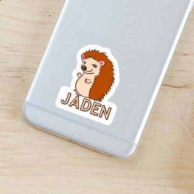 Hedgehog Sticker Jaden Gift package Image