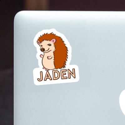 Hedgehog Sticker Jaden Laptop Image